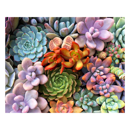 succulents - Wooden Jigsaw Puzzle